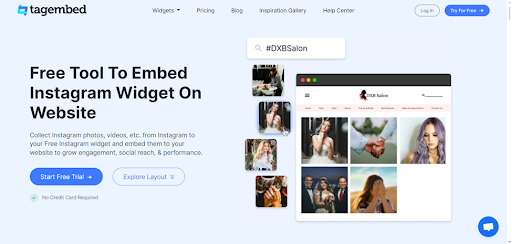 tagembed