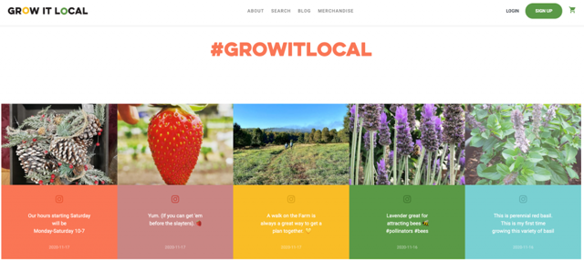 social media widget example